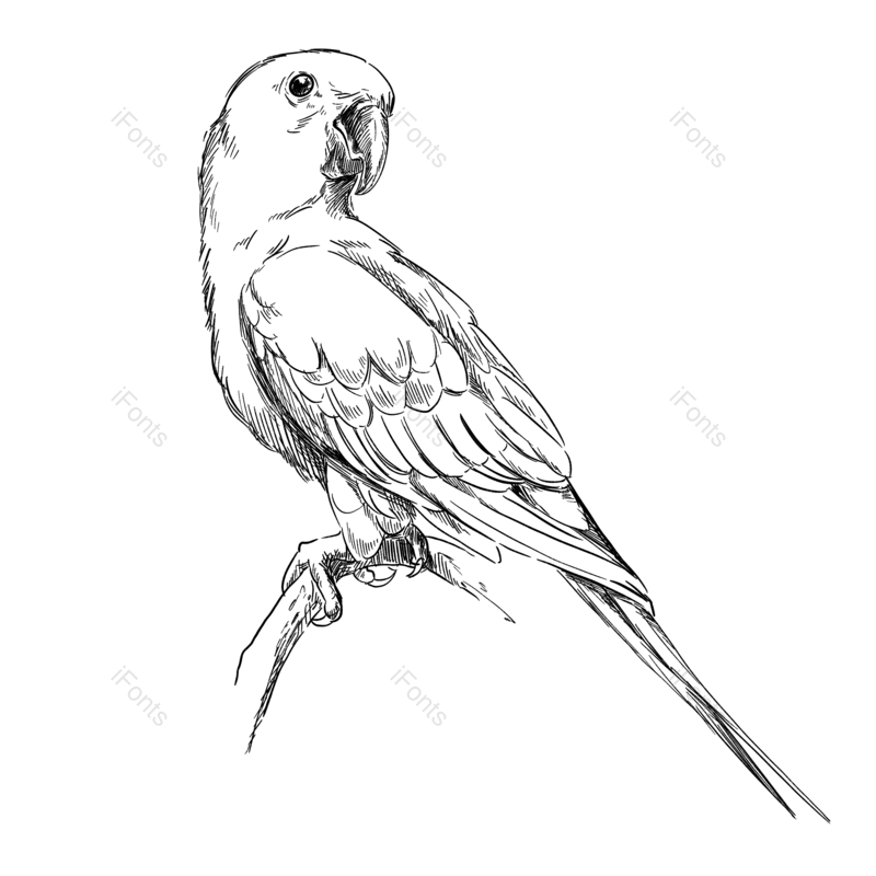 线条图片,元素元素,插画PNG,动物免抠素材
